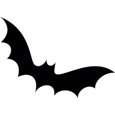 À la rencontre des chauve-souris
