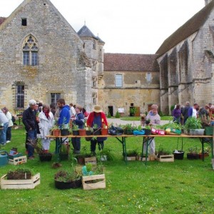 Troc jardin !