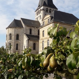 Fête des récoltes !