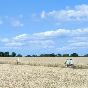 Les Rayonnantes à l’abbaye de Hambye