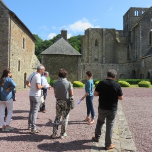 Visites commentées quotidiennes