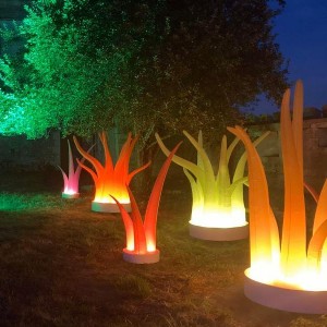 Lumières vibrantes